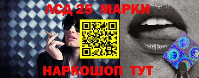 прущие грибы Гатчина