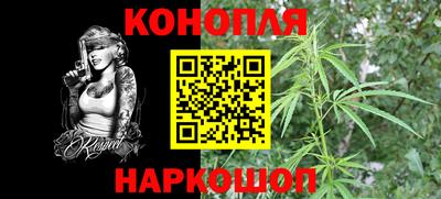 прущие грибы Гатчина