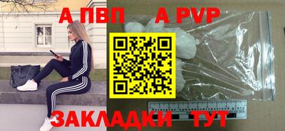 прущие грибы Гатчина
