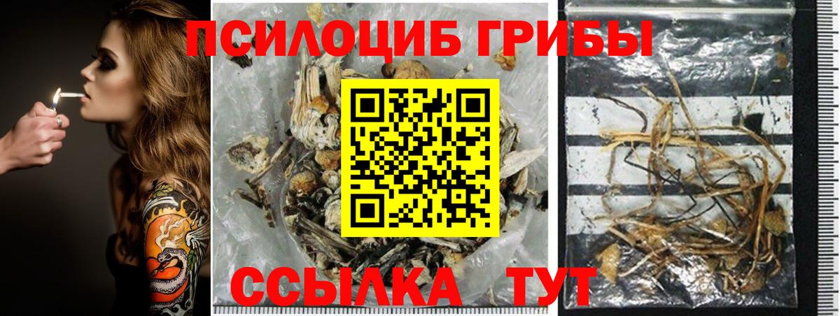Псилоцибиновые грибы прущие грибы Жигулёвск